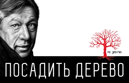 Посадить дерево, фото