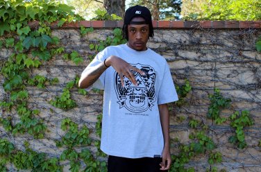 Chris Travis